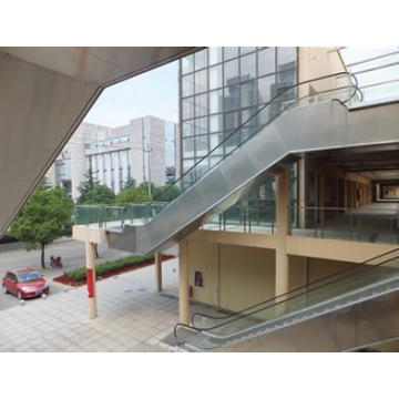 Bsdun Shopping Mall Escalator by China Supplier